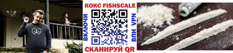 Купить  Магас  Кокаин FishScale 