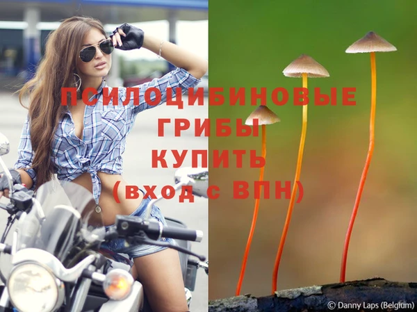 гидра Волоколамск