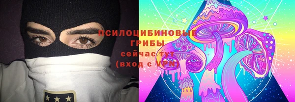 соль ск Вязьма