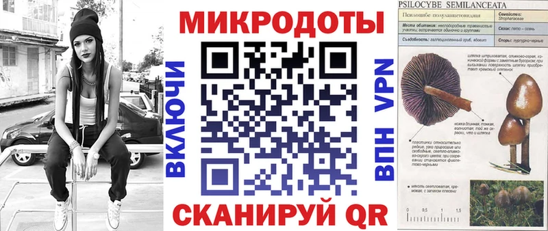 Купить  Магас  Псилоцибиновые грибы GOLDEN TEACHER 